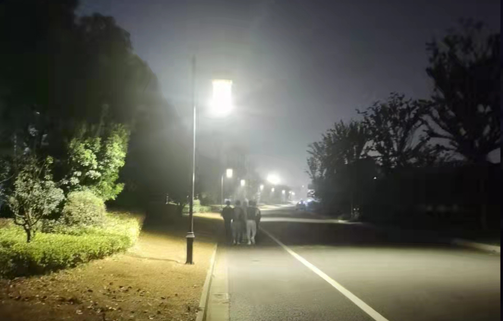 張家港鳳凰鎮道路照明項目