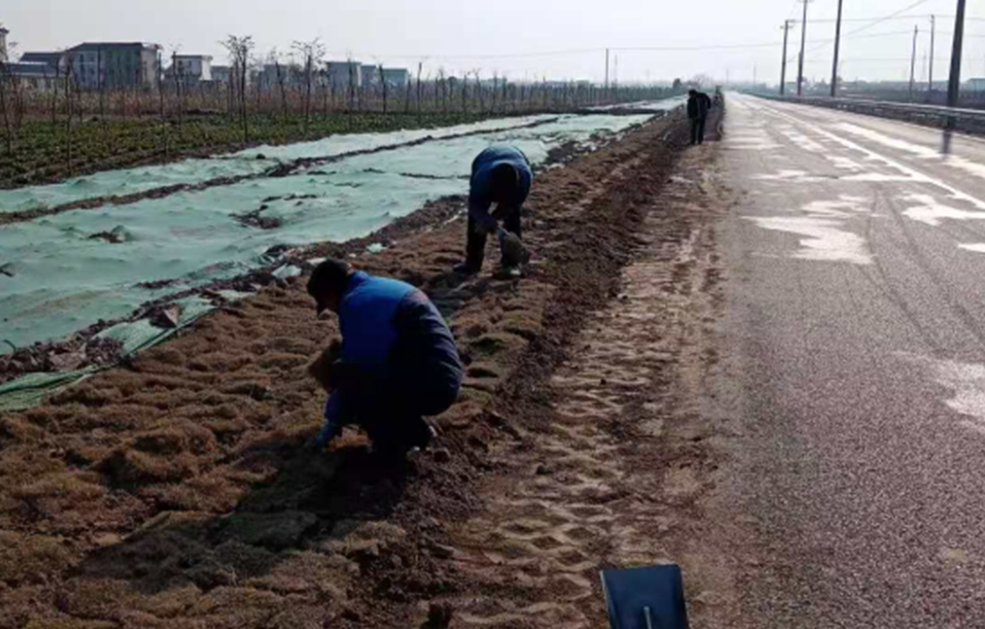 Nantong lvsigang project